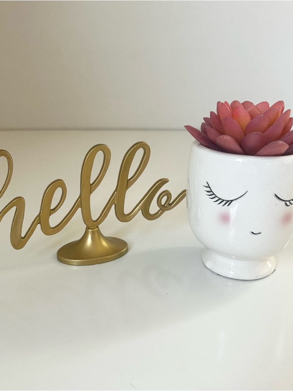 Sweet Lady Face Succulent Planter & Desktop Decor Bundle